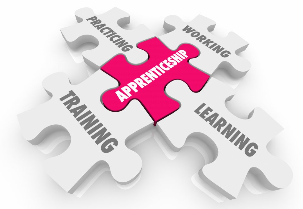 An 'Apprenticeship' puzzle piece connects other puzzle pieces, like 'Training', 'Practicing', 'Working', and 'Learning'