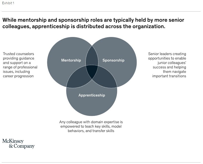 A Venn diagram compares the functions of Apprenticeship, Mentorship, and Sponsorship
