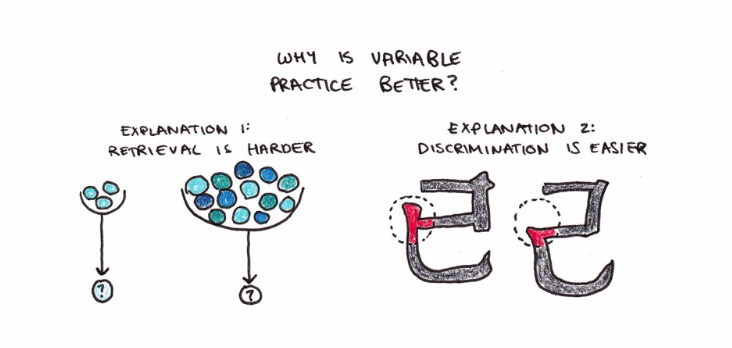 Variable Practice