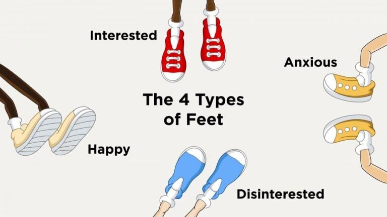 An illustration of the 4 types of feet: Interested, Disinterested, Happy, and Anxious