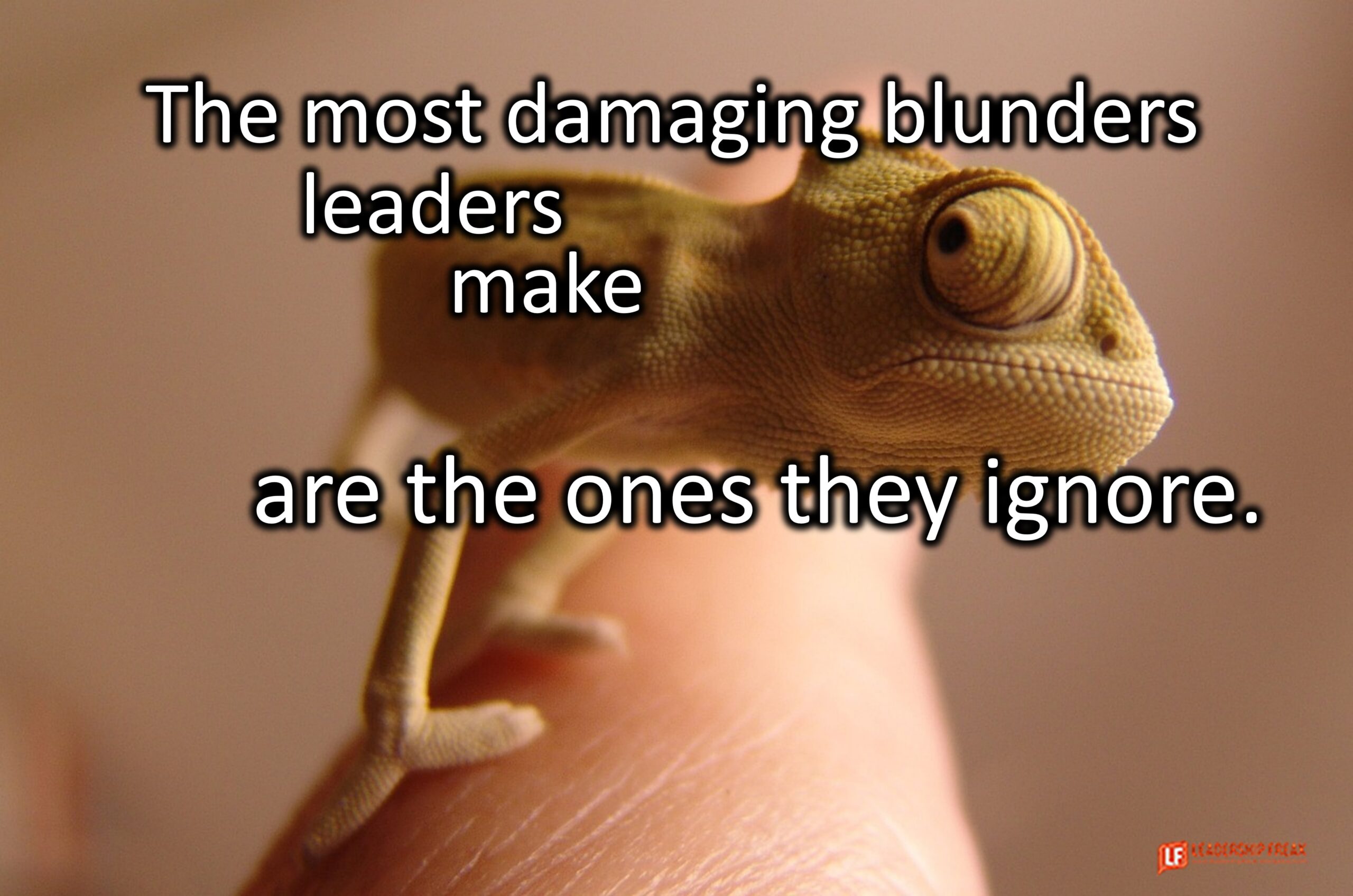 The most damaging blunders leaders make are the ones they ignore.