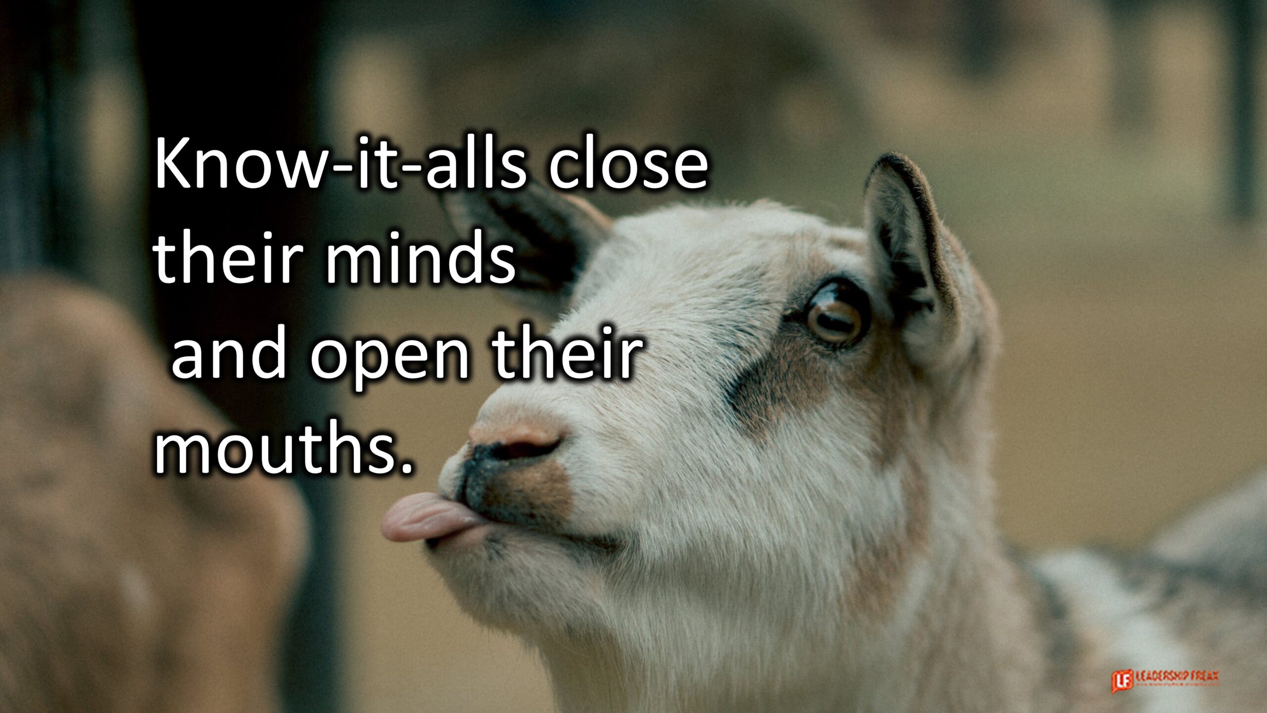 Know-it-alls close their minds and open their mouths