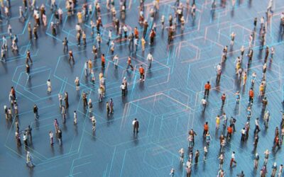 The Great Training Divide: Perspectives From CEOs and Entry-Level Employees