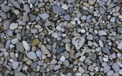 Ideas to Help Answer Common Collection Questions