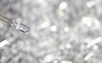 What Should Be the Essential Components of Leadership Training?