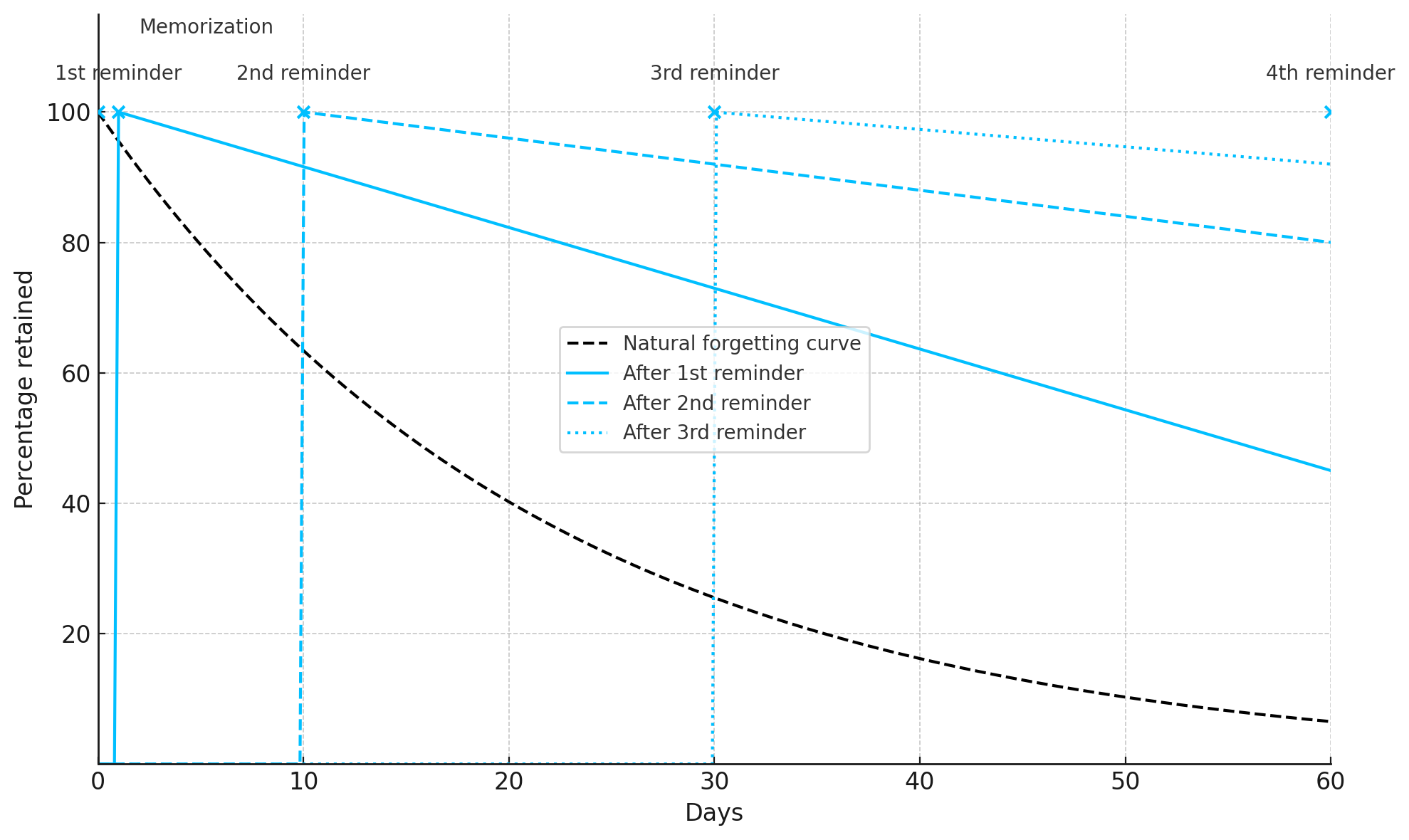 Projected Forgetting Curves Graph
