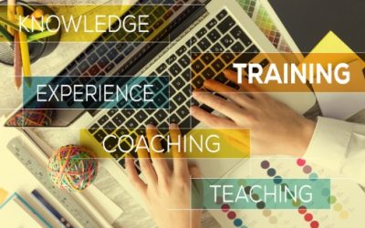 Revolutionizing Collector Training: Expert Strategies to Accelerate Learning and Boost Performance